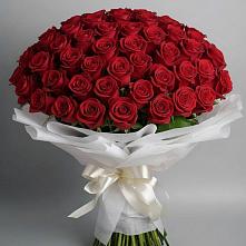 Букет 101 Красная роза Блэк Мэджик #REPLACE_PRED# Михайловском