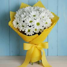 Букет цветов из:  Хризантемы в Михайловском