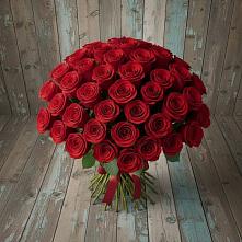 Букет 55 Красных роз Фридом #REPLACE_PRED# Михайловском