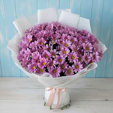 Букет цветов из:  Хризантемы в Михайловском