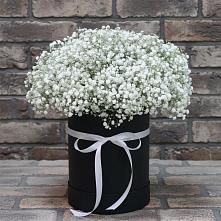 Цветочная композиция из Гипсофила в шляпной коробке в Михайловском